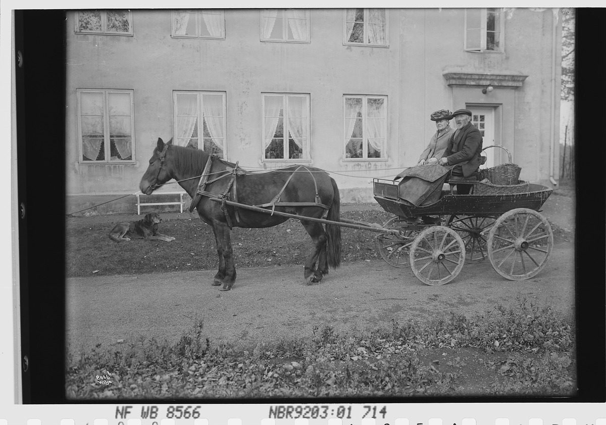 Anders Beer Wilse, Prot: Høvik gård fru og stallkar