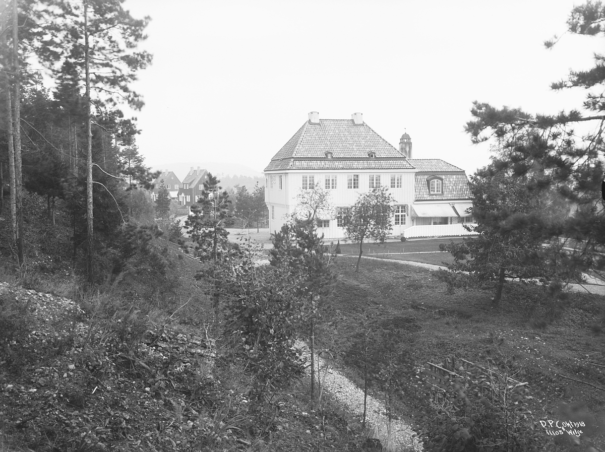 Anders Beer Wilse, Prot: Dalen Portland Cement, Brevik Tekst på bildet: D.P.C. okt 1918