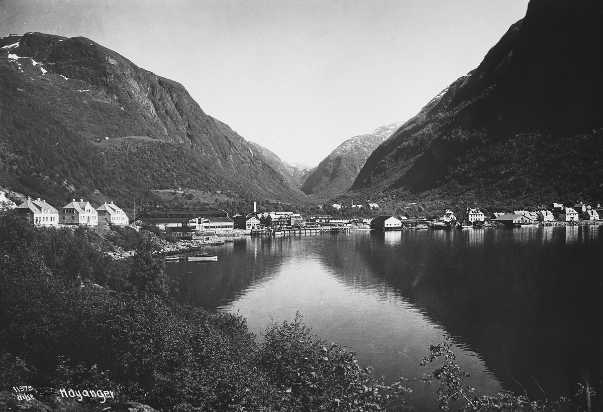 Anders Beer Wilse, Prot: Höyanger norsk Aluminium.