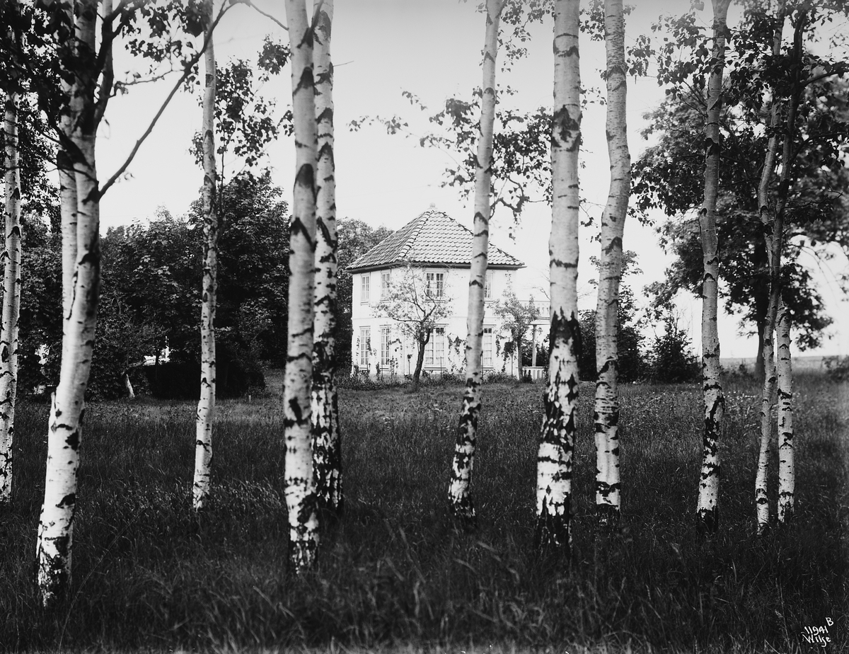 Anders Beer Wilse, Konv: Havepavillion