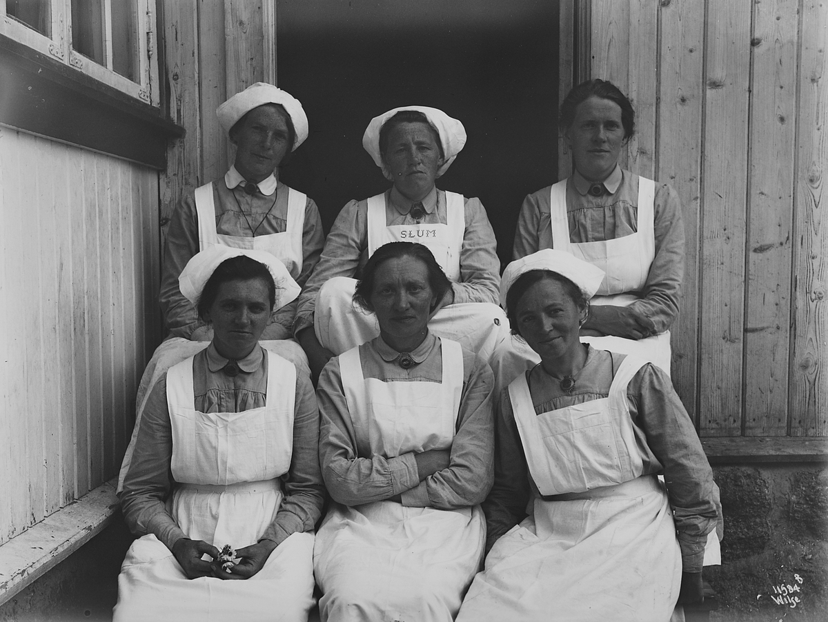 Anders Beer Wilse, Konv: Troldstua / gruppe betjening