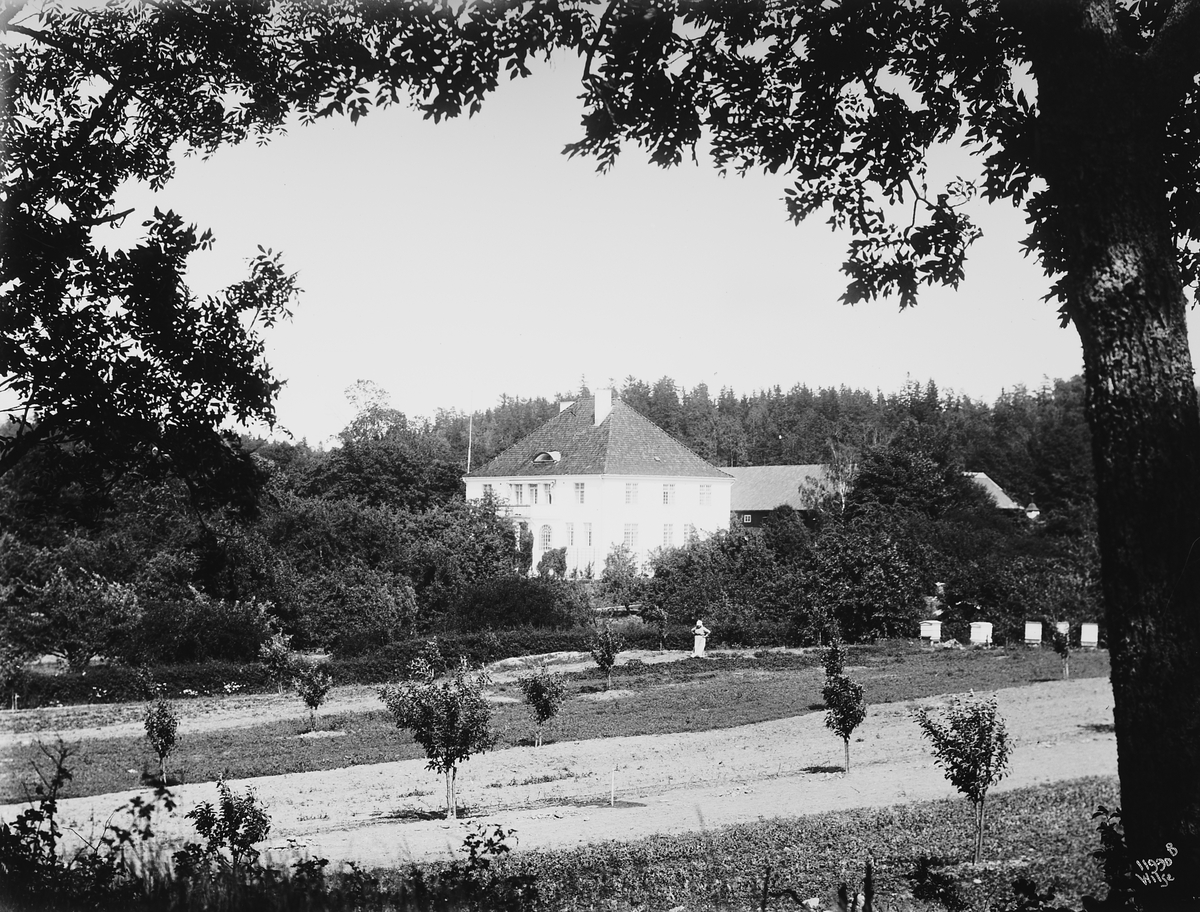 Anders Beer Wilse, Konv: Eyde/hovedgaarden fra haven