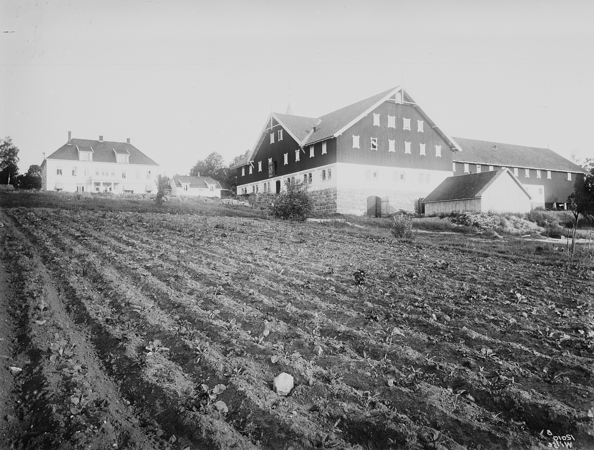 Anders Beer Wilse, Konv: Eyde/Sande hovedgaard og udhus