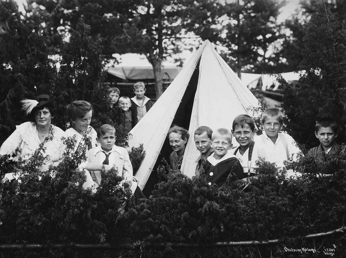 Anders Beer Wilse, Konv: Drolsum koloni
