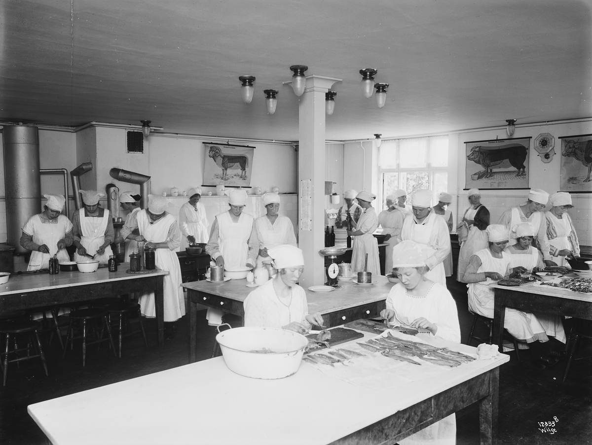 Anders Beer Wilse, Prot: Husmorskolen Nordstrand