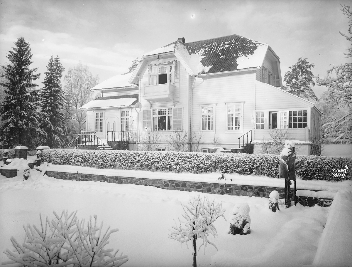 Anders Beer Wilse, Prot: Bryde G.M Villa