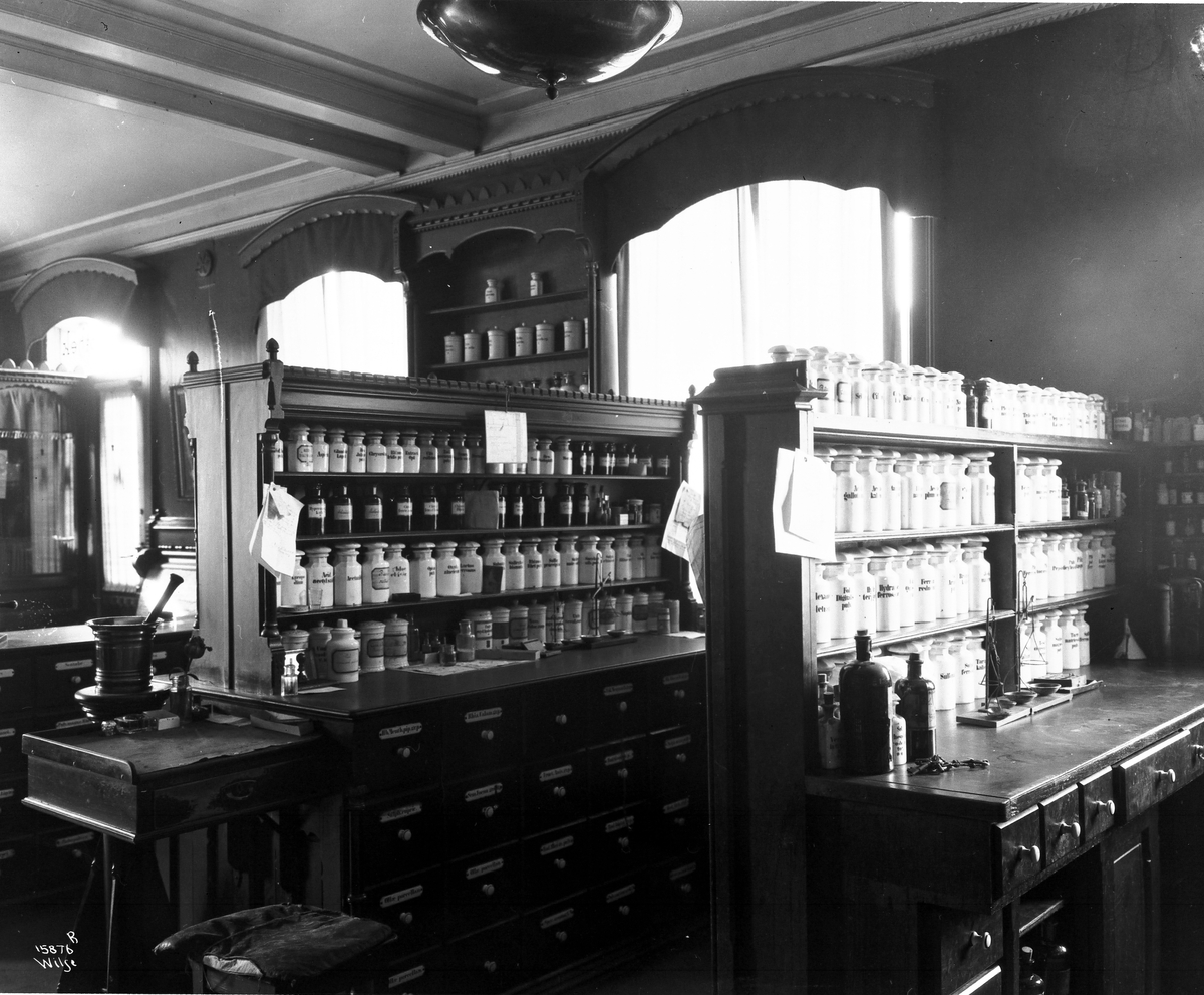 Anders Beer Wilse, Prot: Elefant Apotheket int