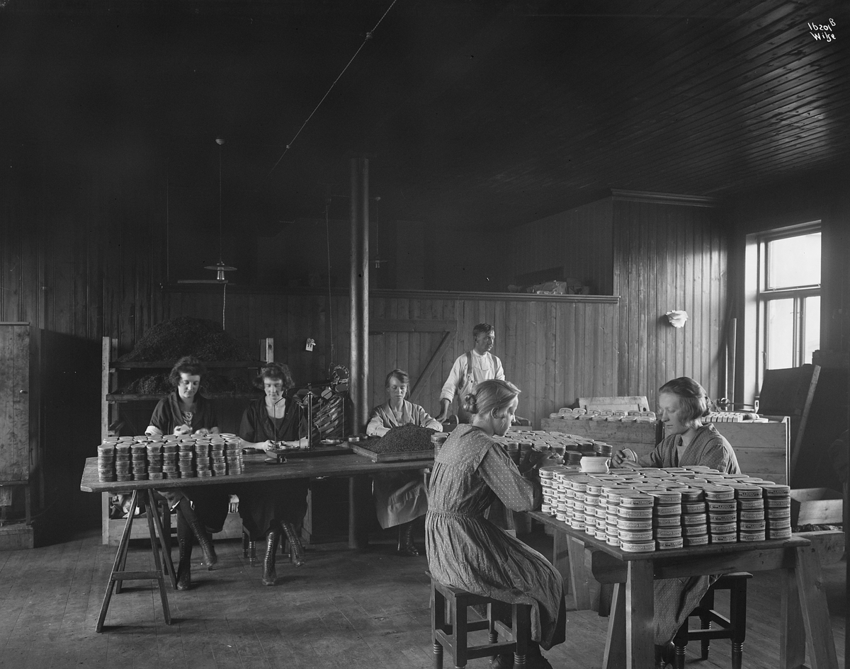 Anders Beer Wilse, Prot: Olsen Carl E. Tobaksfabrik