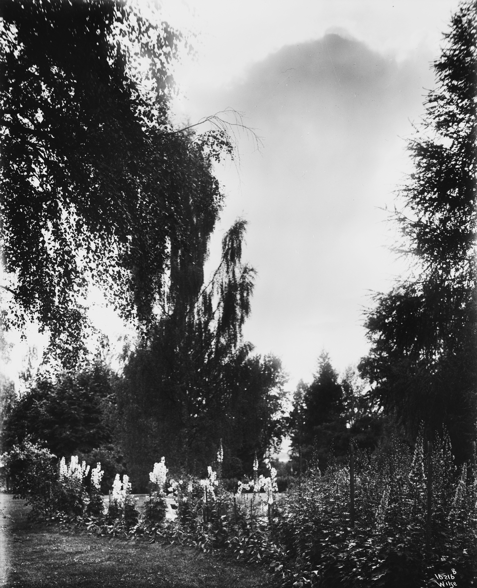 Anders Beer Wilse, Prot: Gjösegaarden