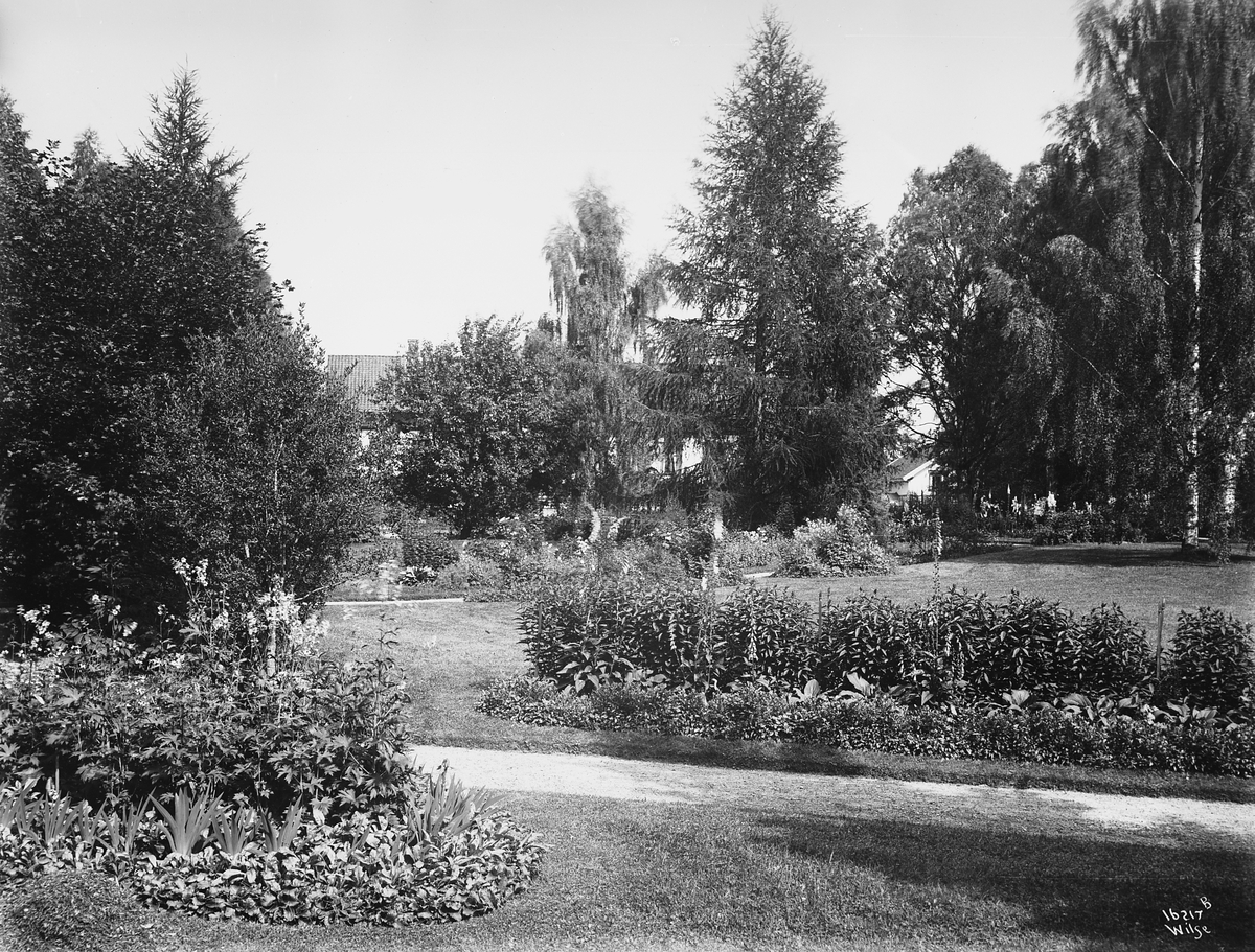 Anders Beer Wilse, Prot: Gjøsegaarden