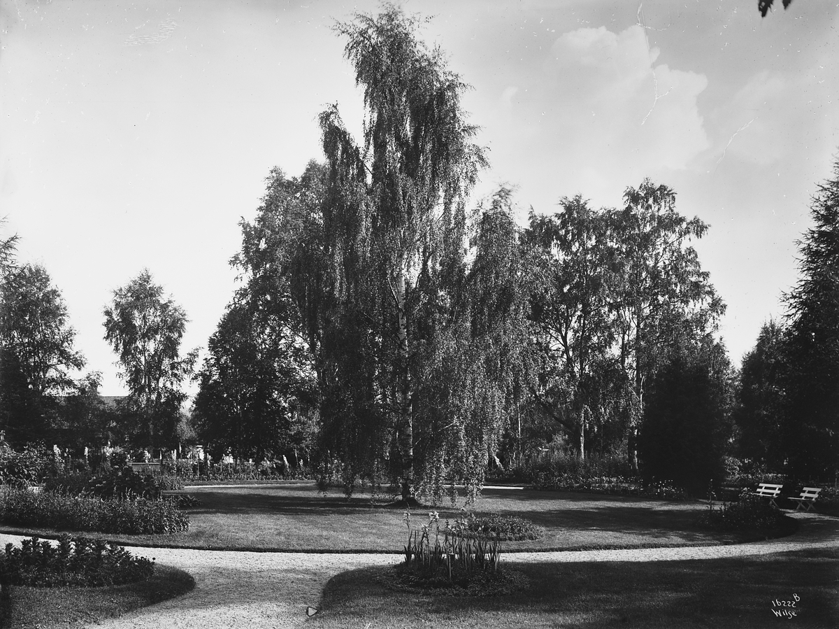 Anders Beer Wilse, Prot: Gjøsegaarden