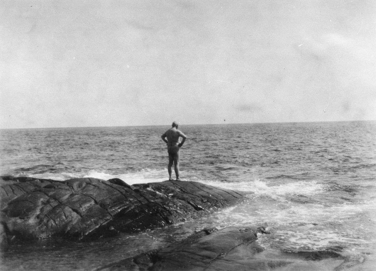 Anders Beer Wilse, Prot: Hagen værkseier