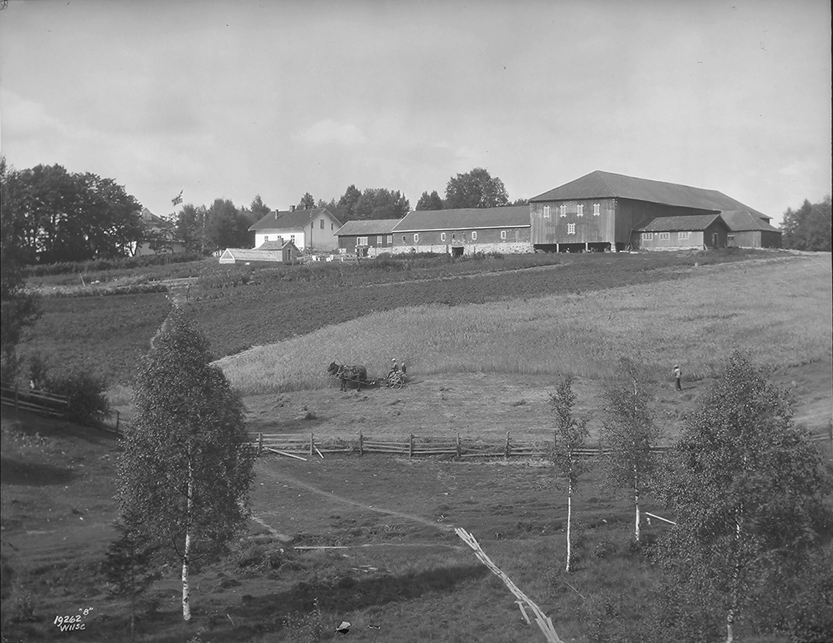 Anders Beer Wilse, Prot: Skamsgaard
