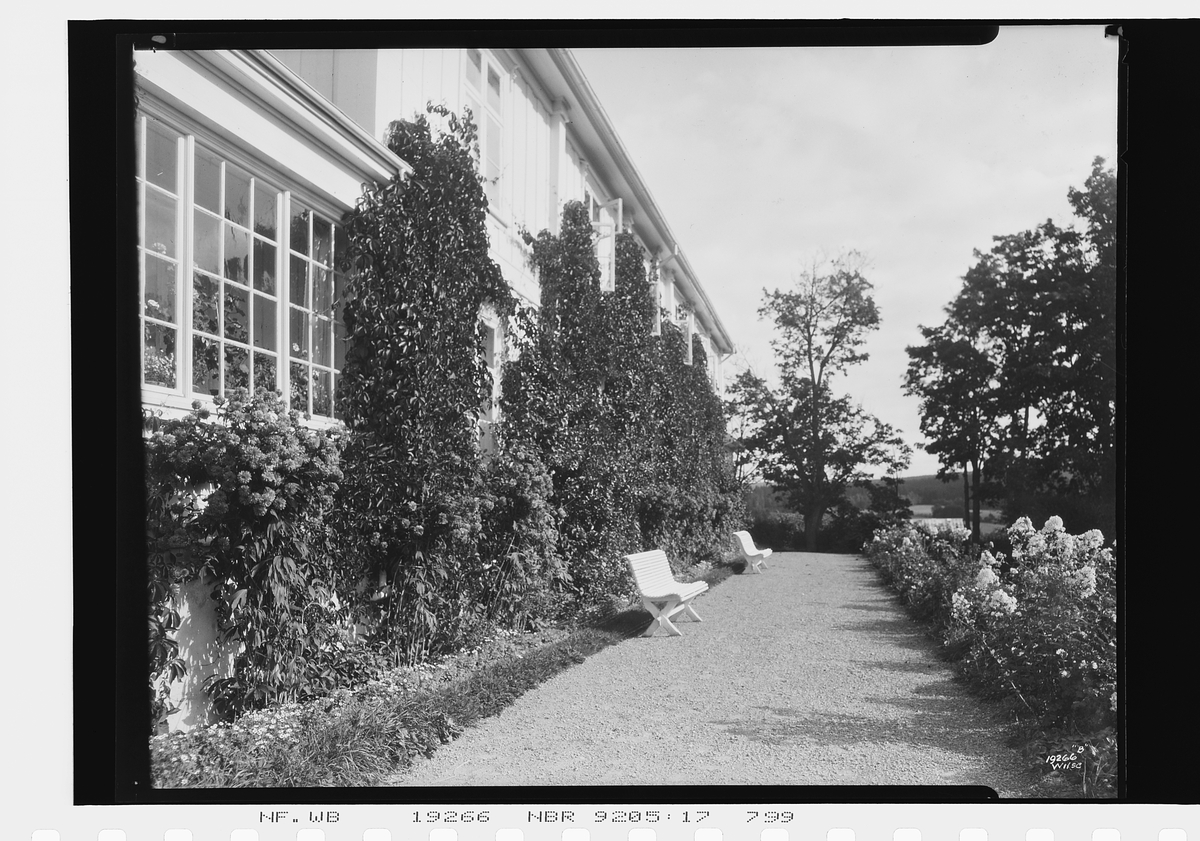 Anders Beer Wilse, Prot: Skamsgaard