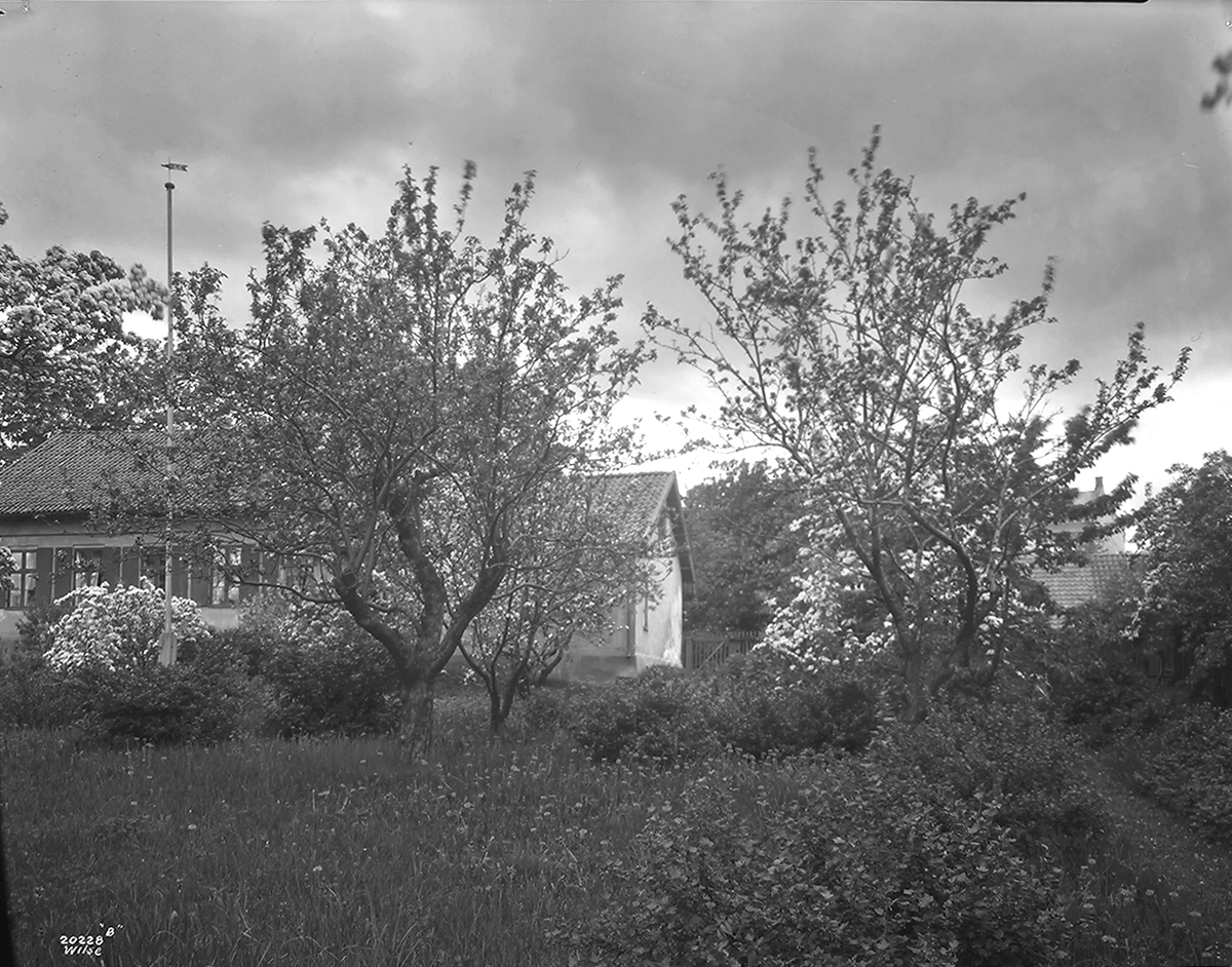 Anders Beer Wilse, Konv: Fru Large, Industrigt 31 Haven