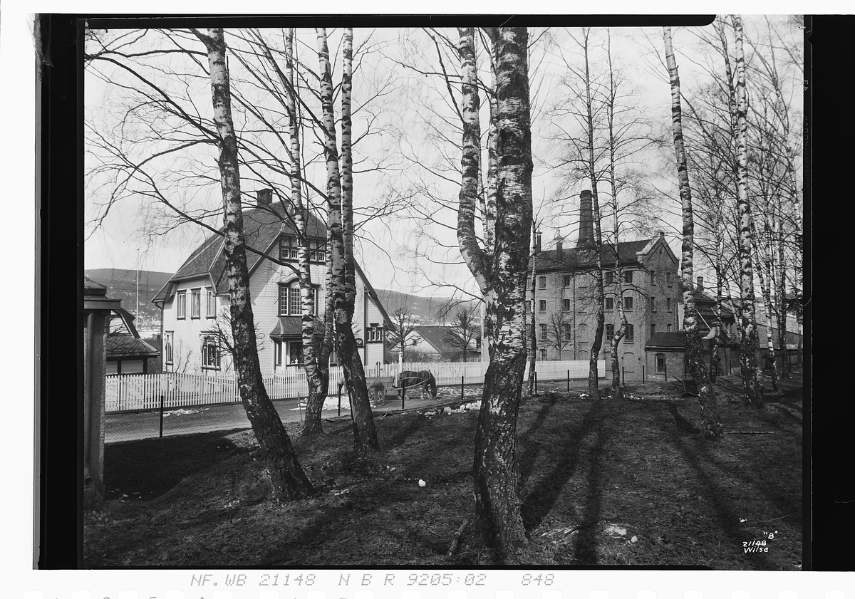 Anders Beer Wilse, Prot: Lillehammer Bryggeri