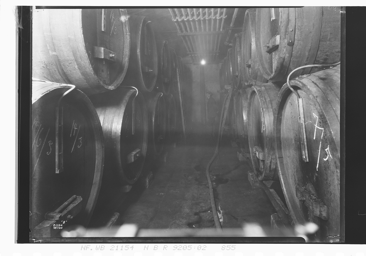 Anders Beer Wilse, Prot: Lillehammer Bryggeri