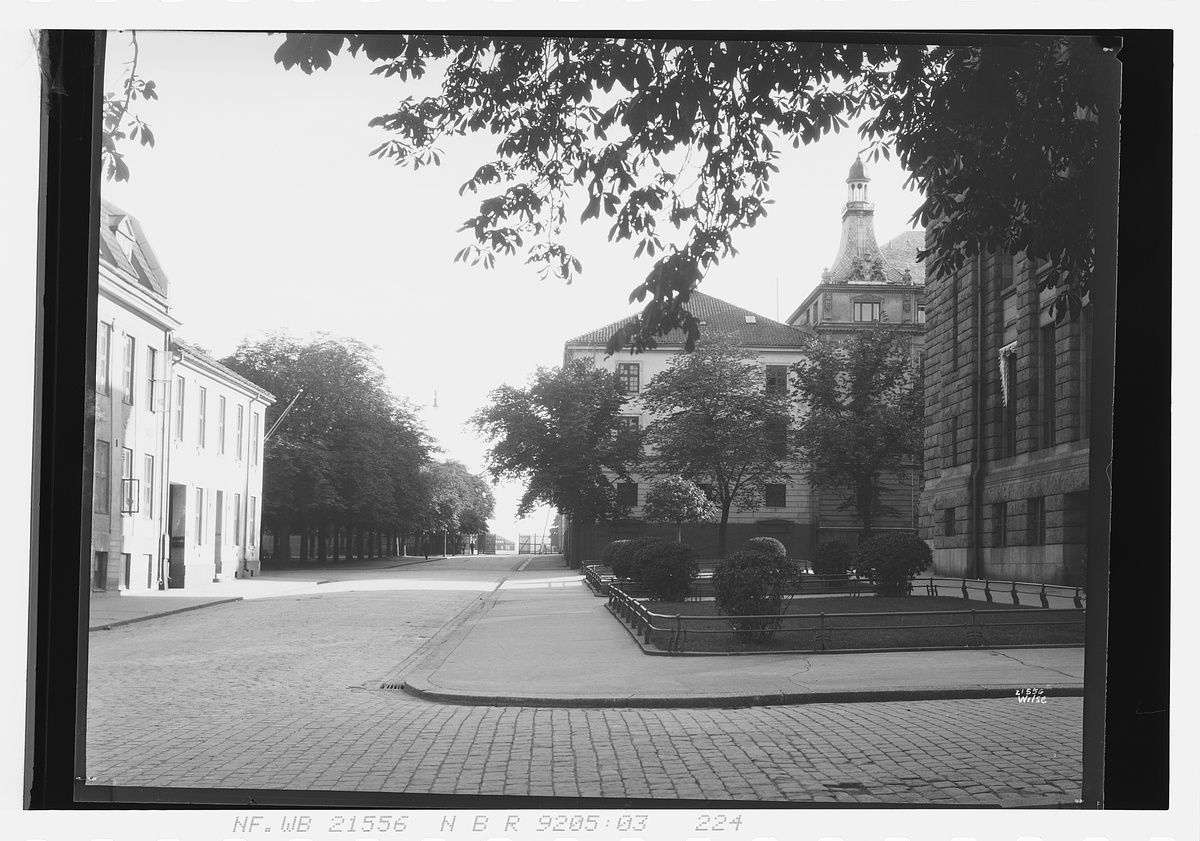 Anders Beer Wilse, Prot: Halvorsen Didrik