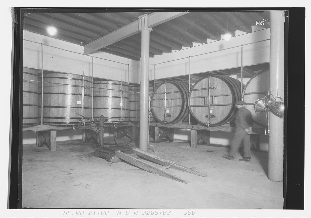 Anders Beer Wilse, Prot: Løiten