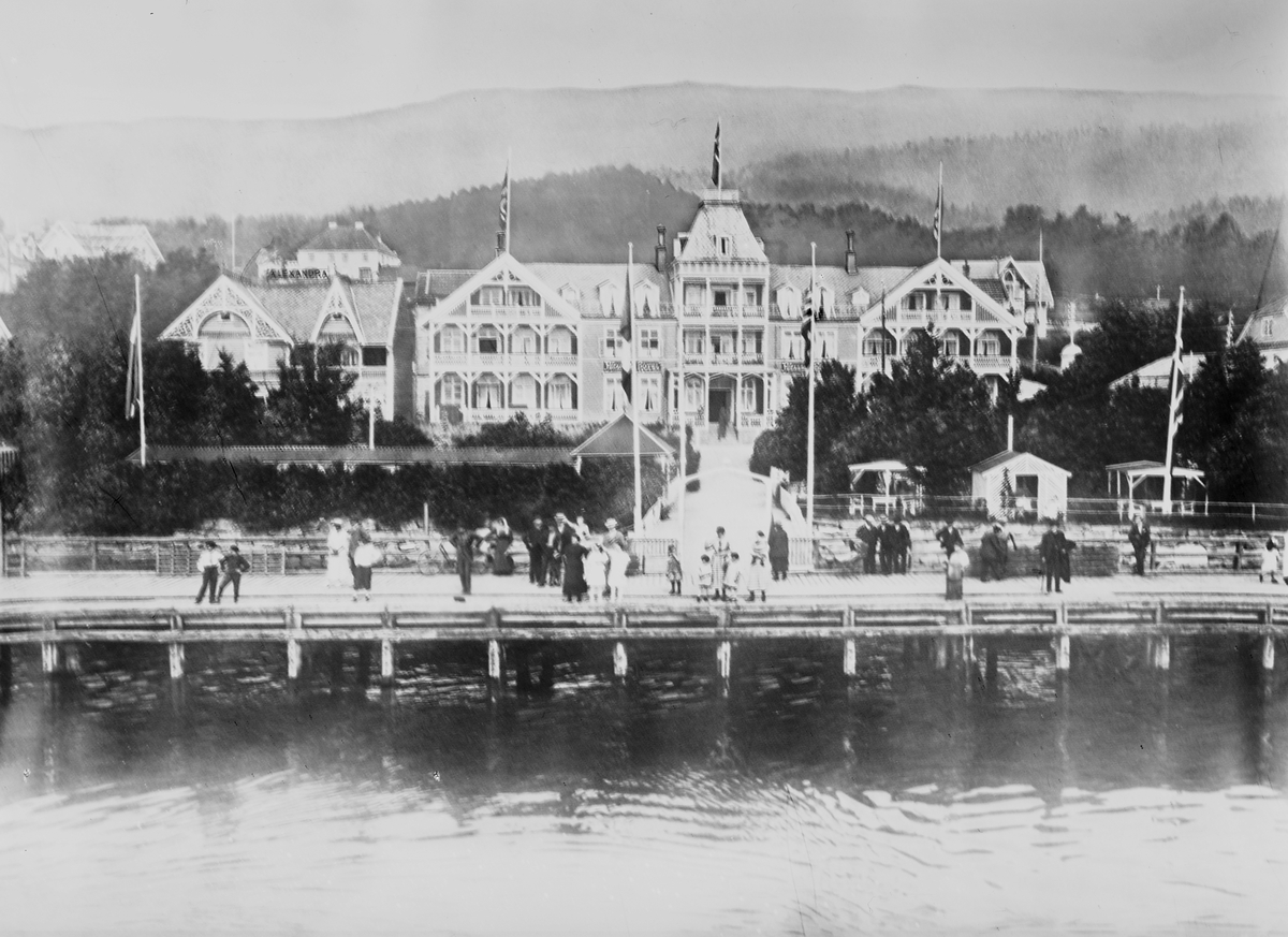 Anders Beer Wilse, Prot: Malde Alexandra