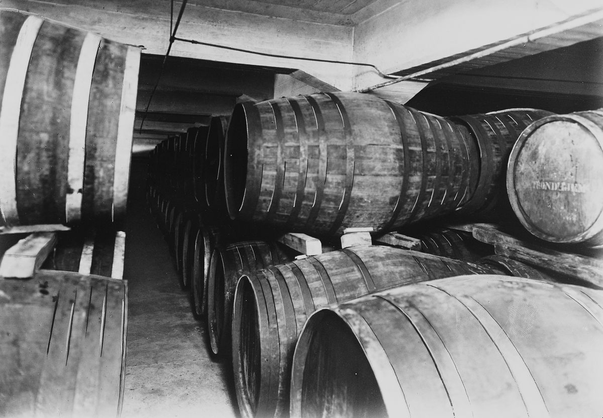 Anders Beer Wilse, Prot: Grimstad Gartneri