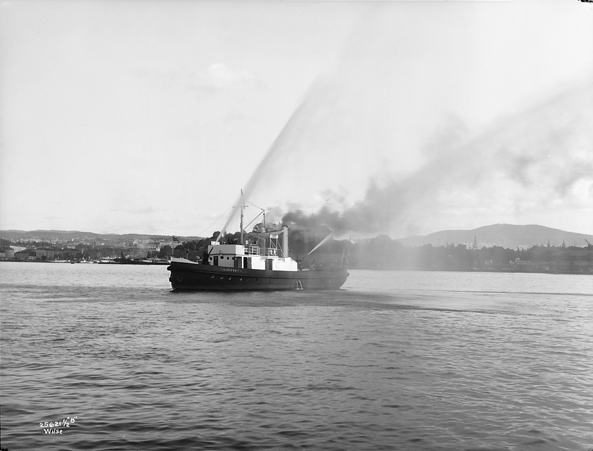 Anders Beer Wilse, Prot: Sjøsprøiten Oslo havn