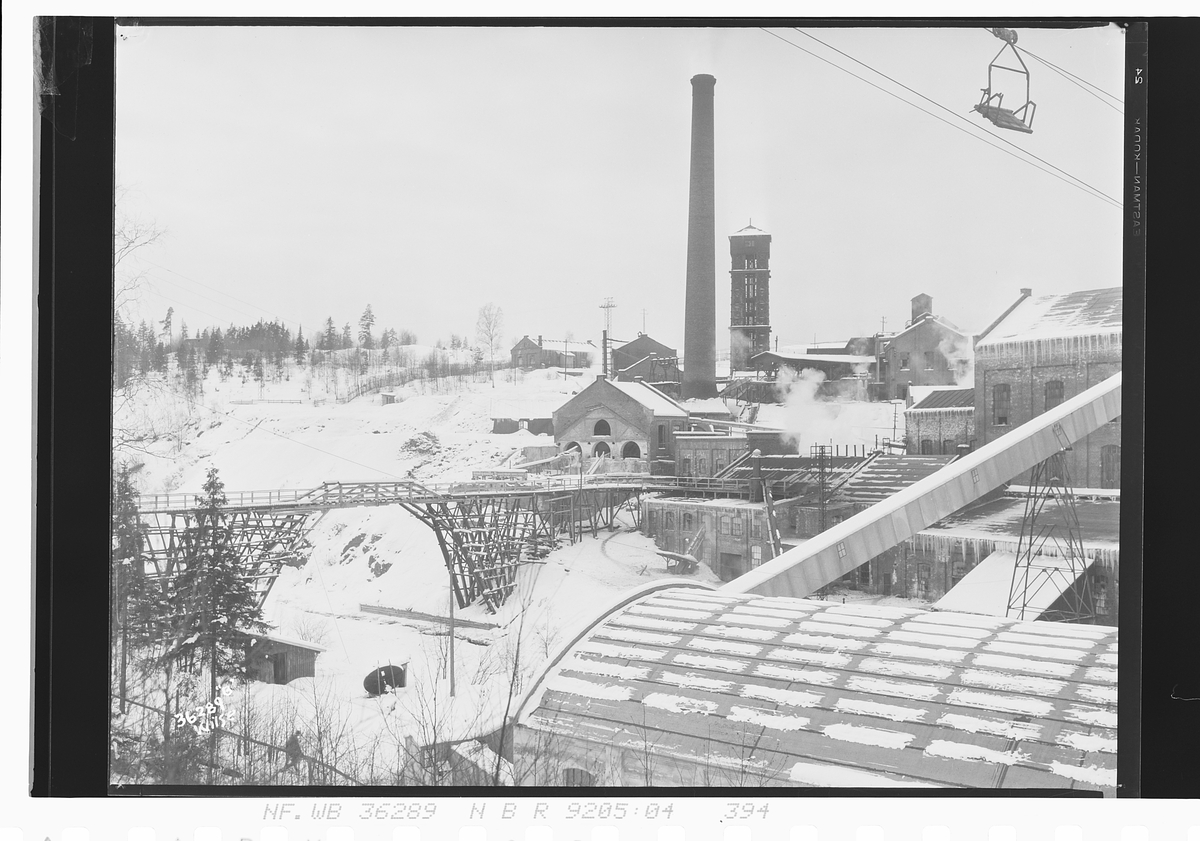 Anders Beer Wilse, Prot: Toten Cellulosefabrik Gjøvik