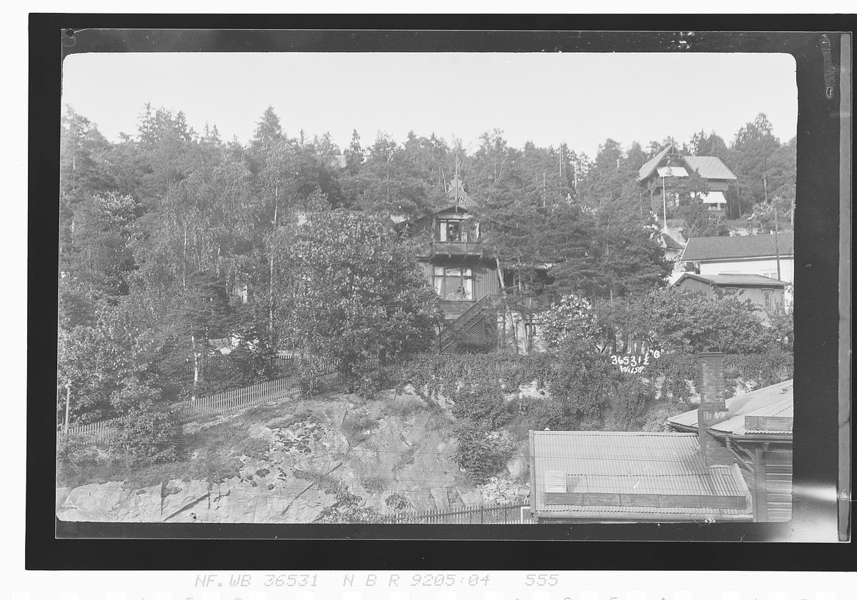 Anders Beer Wilse, Prot: Buckholst Villa