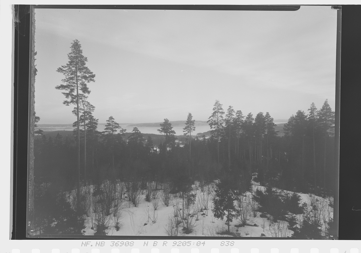 Anders Beer Wilse, Prot: Løwenskiold Utsigt