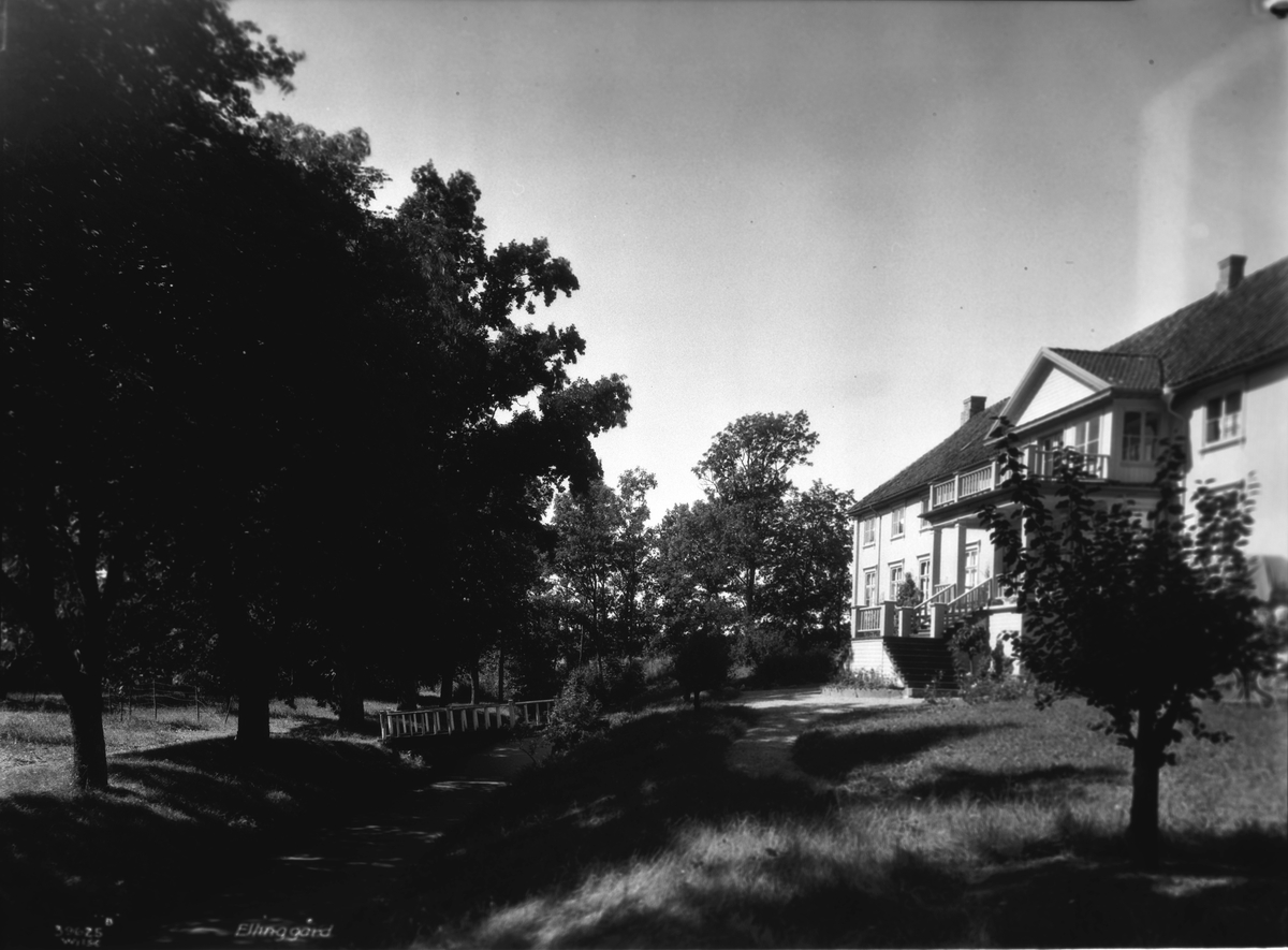 Anders Beer Wilse, Prot: Ellingaard