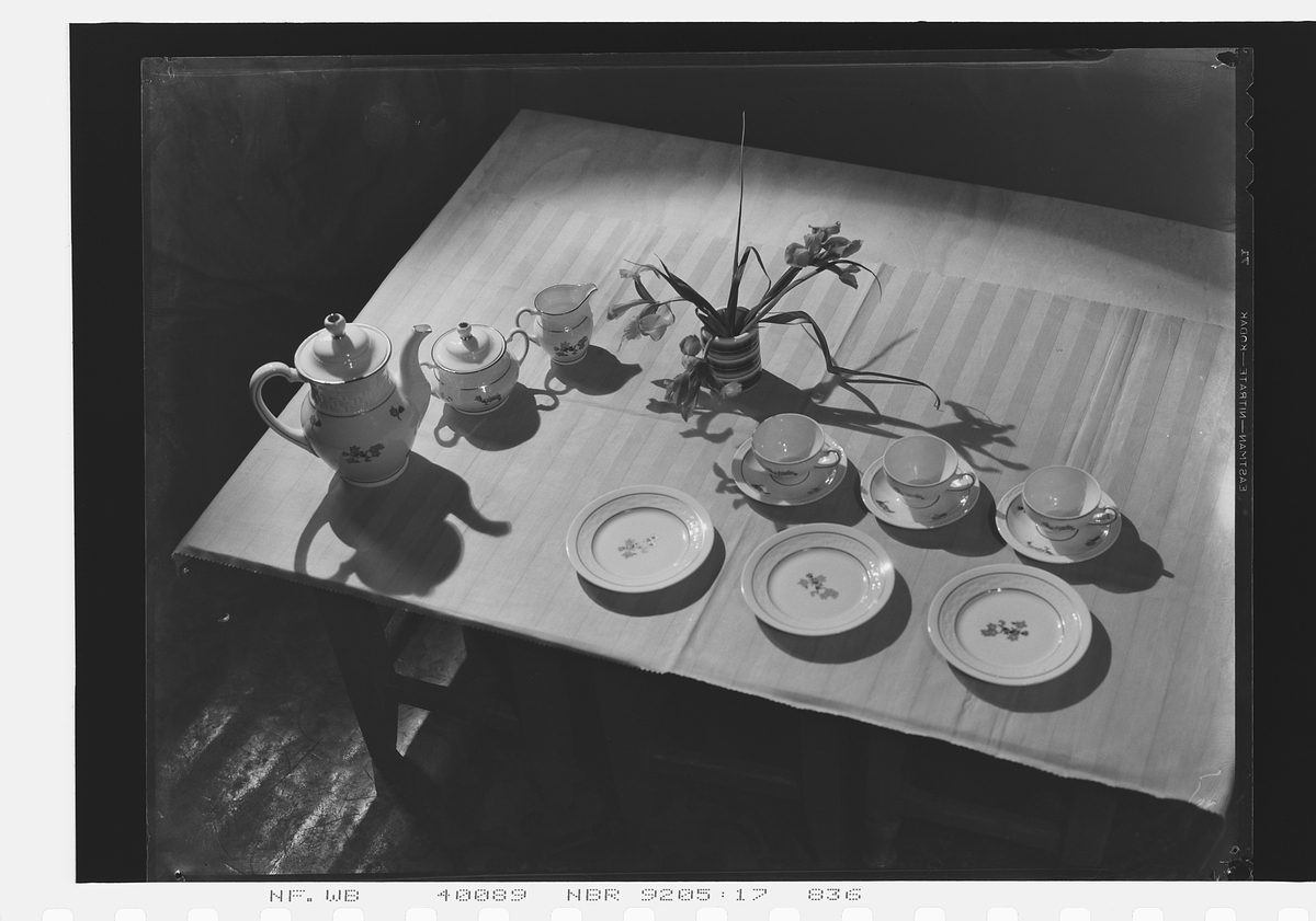 Anders Beer Wilse, Prot: Porsgrund Porselæn Kaffeservice