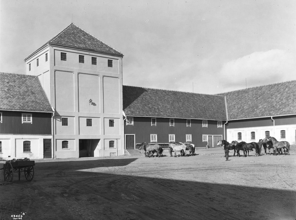 Anders Beer Wilse, Prot: Opstad arbeidsanst 24/5-4/6 Konv: Hestestallen