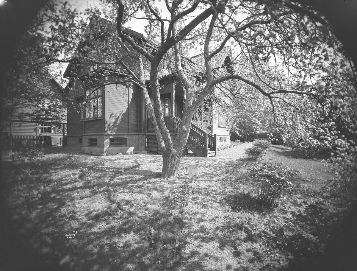 Anders Beer Wilse, Prot: Krag frk villa