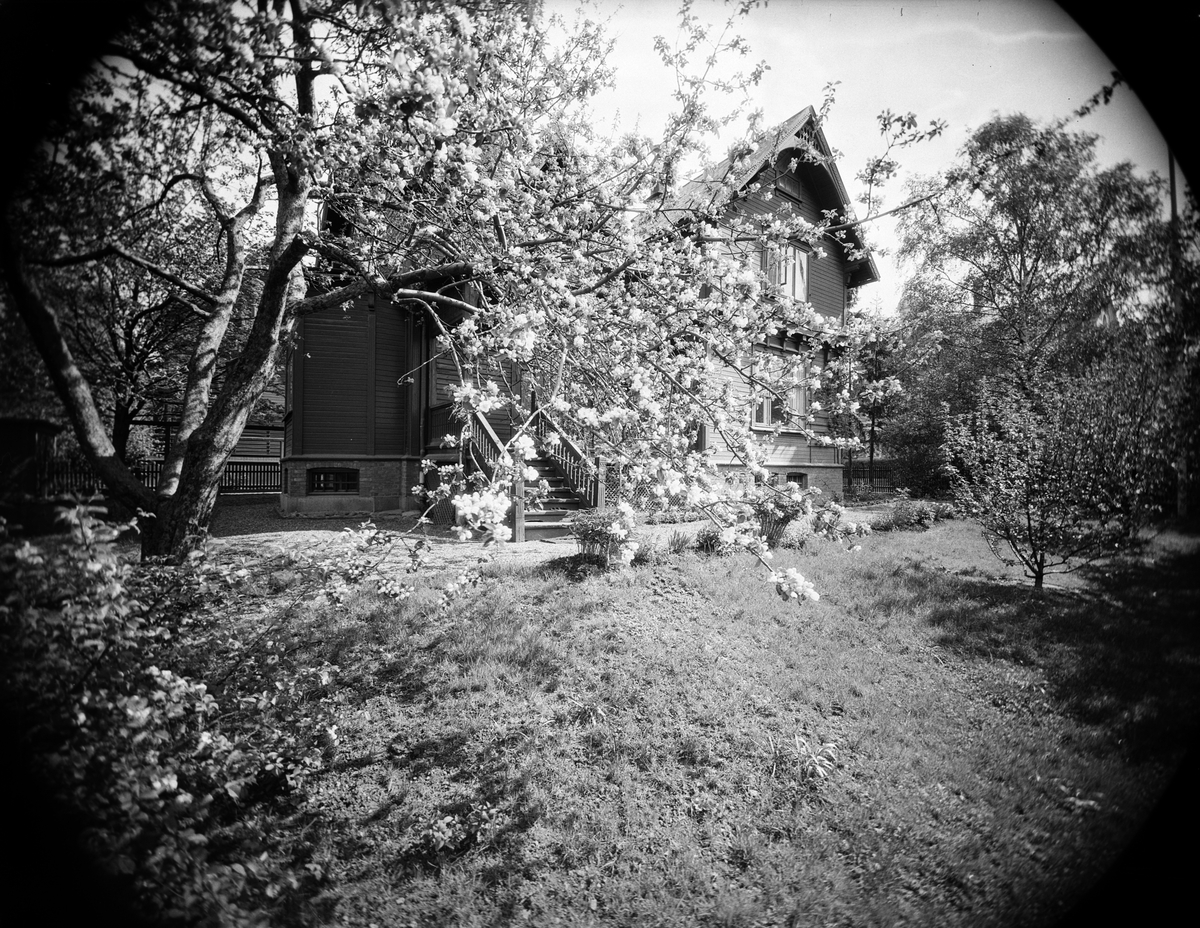 Anders Beer Wilse, Prot: Krag frk villa