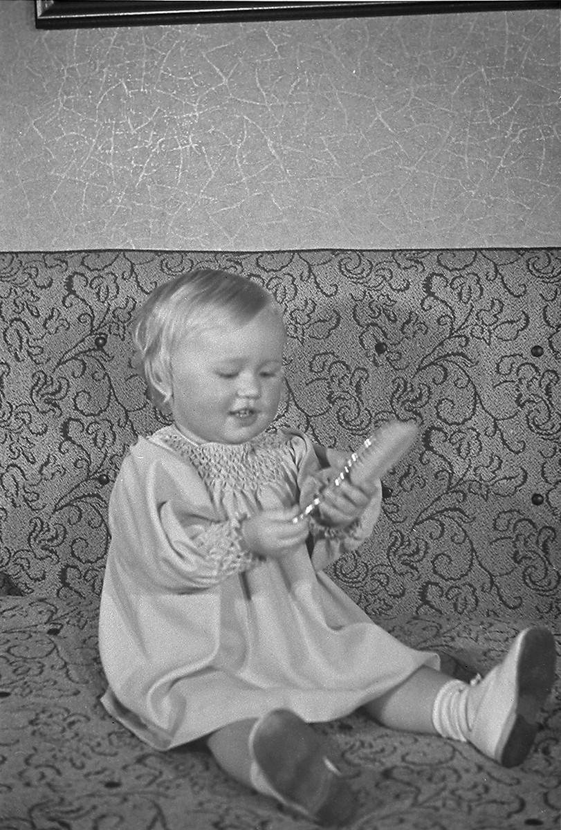 Anders Beer Wilse, Prot: protokoll finnes ikke Register: Mossin Leica 43