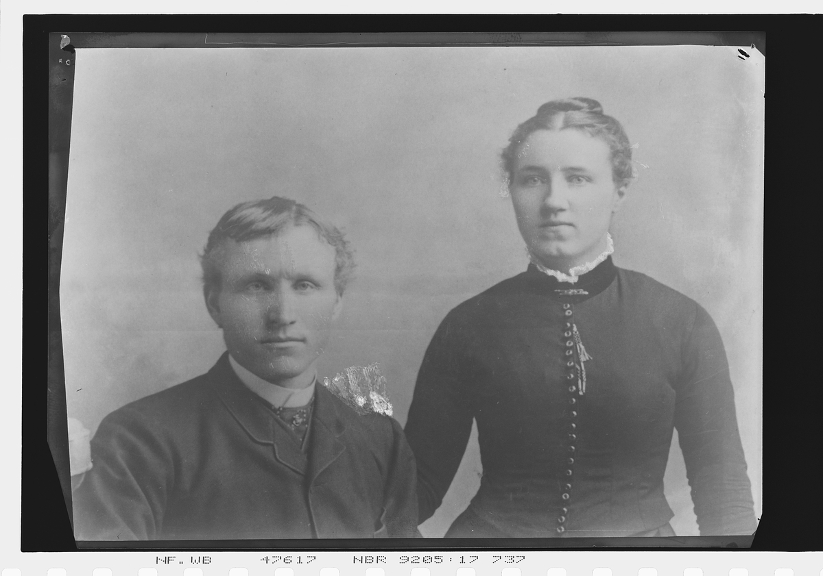 Anders Beer Wilse, Register: Haugen