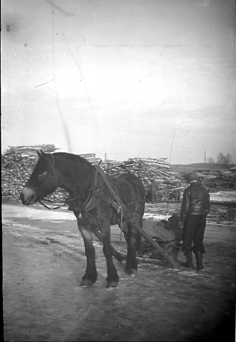 Anders Beer Wilse, Prot: protokoll finnes ikke Register: Statsbanene vedtransport Leica 28/1-47