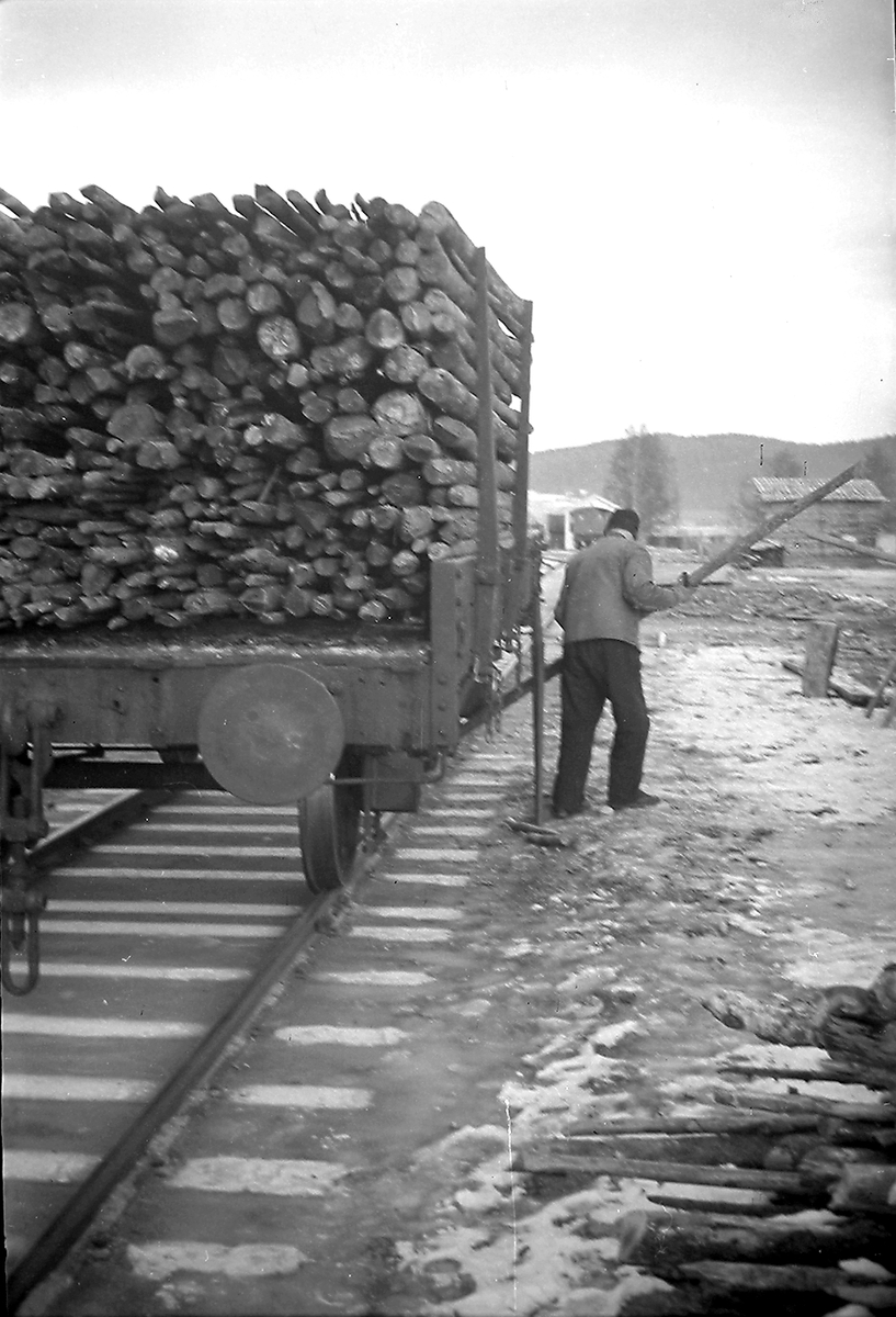 Anders Beer Wilse, Prot: protokoll finnes ikke Register: Statsbanene vedtransport Leica 28/1-47