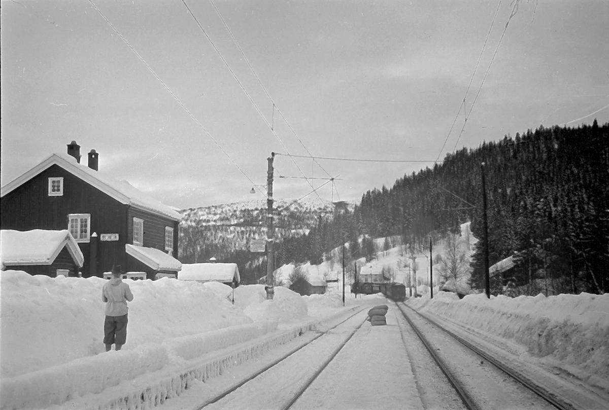 Anders Beer Wilse, Konv: Leica Statsbanene