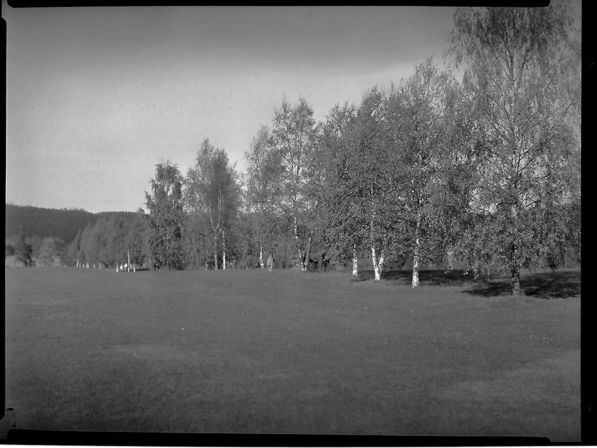 Anders Beer Wilse, Prot: protokoll finnes ikke Konv: Oslo golfklubb