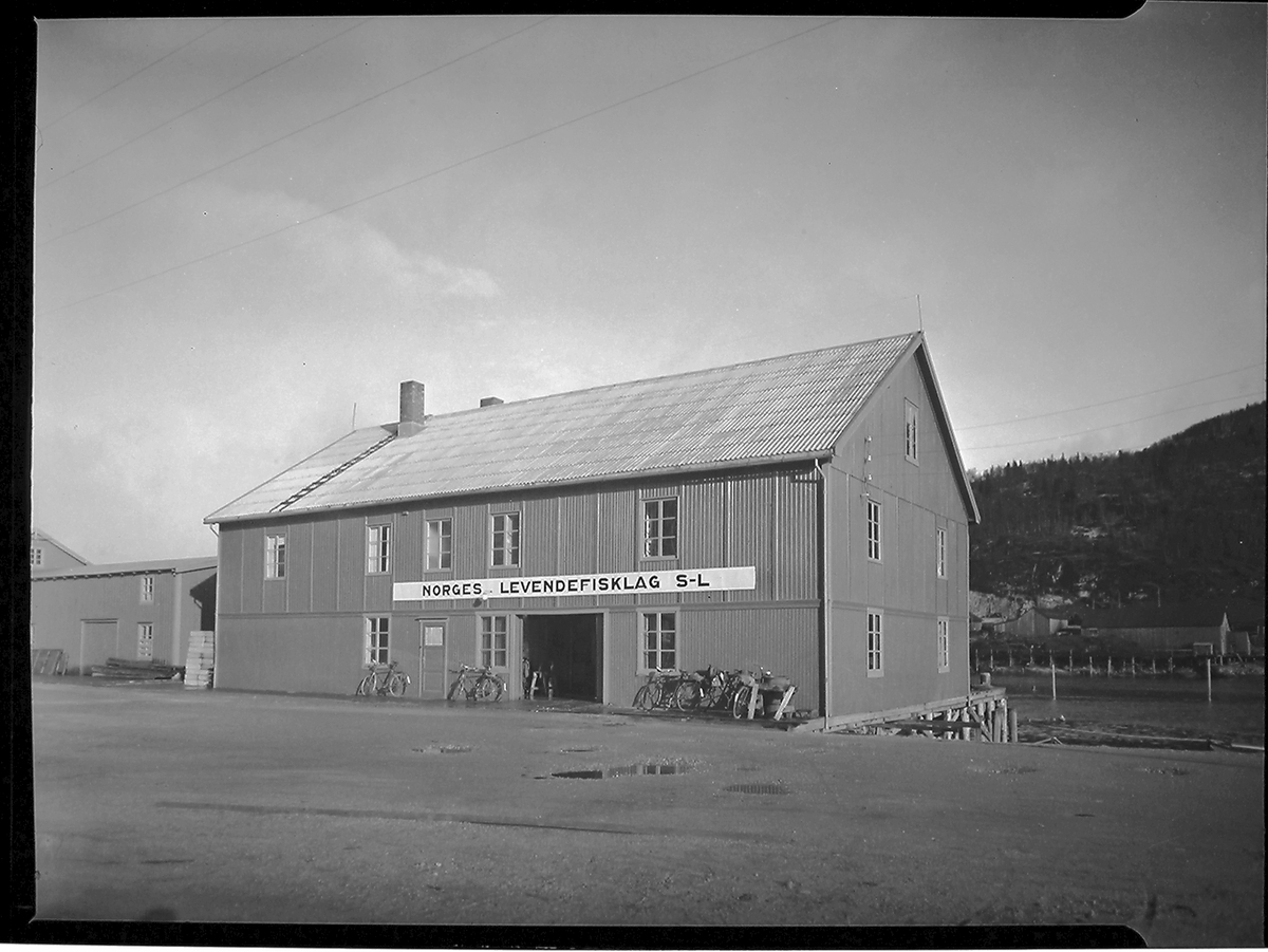 Anders Beer Wilse, Prot: protokoll finnes ikke Konv: Norges levende fisk lag Mosjøen