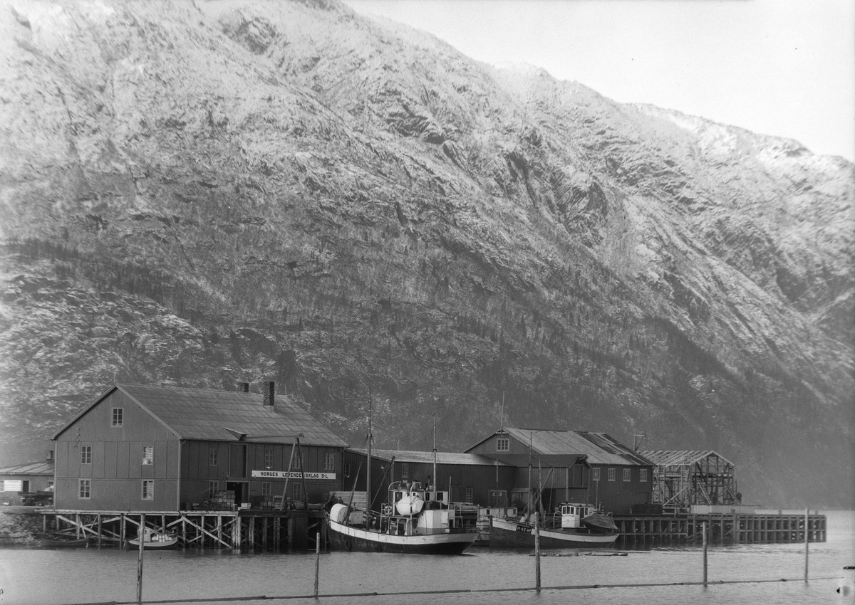 Anders Beer Wilse, "Prot: protokoll finnes ikke Konv: Norges levende fisk lag Mosjøen"