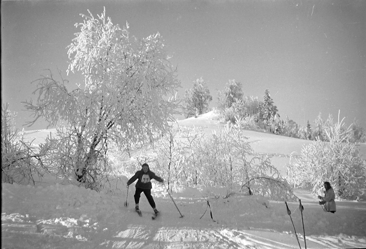Anders Beer Wilse, Prot: protokoll finnes ikke Register: Statsbanene skirenn S.B feriehjem 22/2-48