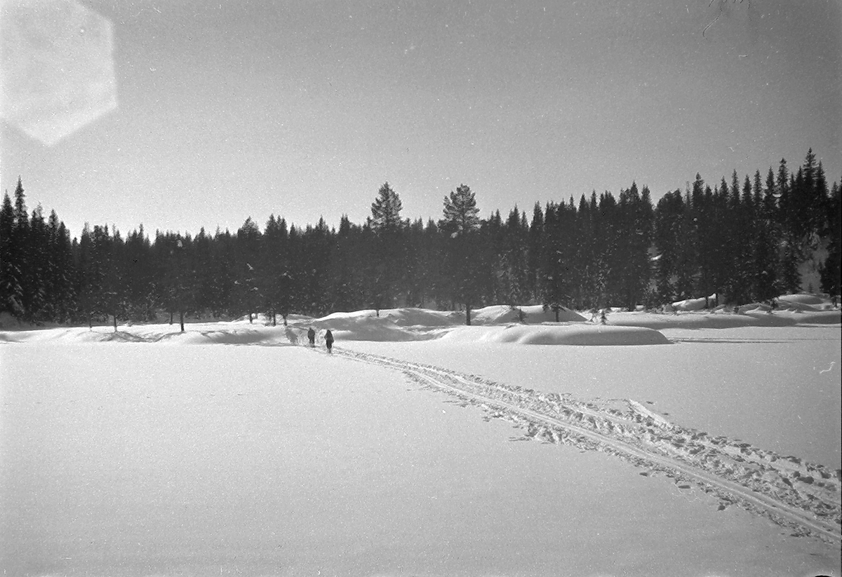 Anders Beer Wilse, Prot: protokoll finnes ikke Register: Statsbanene Stryken stj skitog 1/3-48