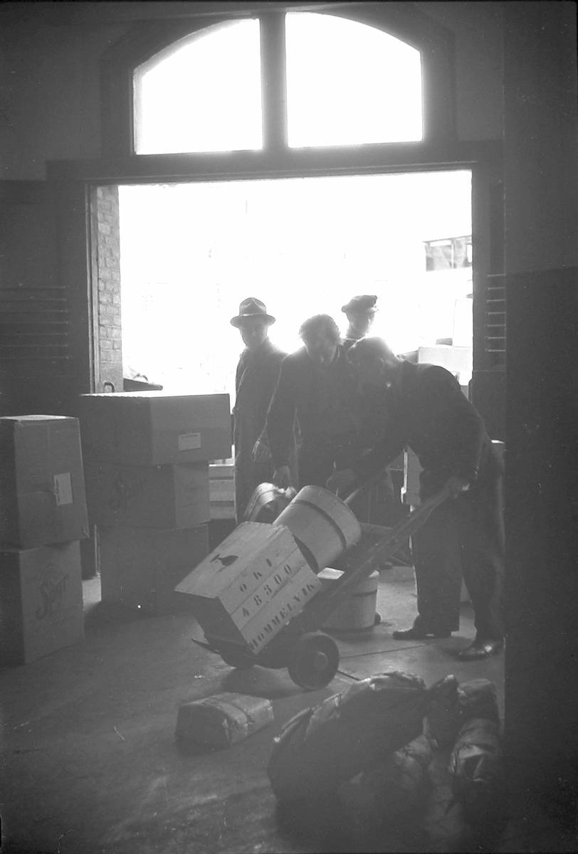 Anders Beer Wilse, Prot: protokoll finnes ikke Register: Statsbanene Leica 1948