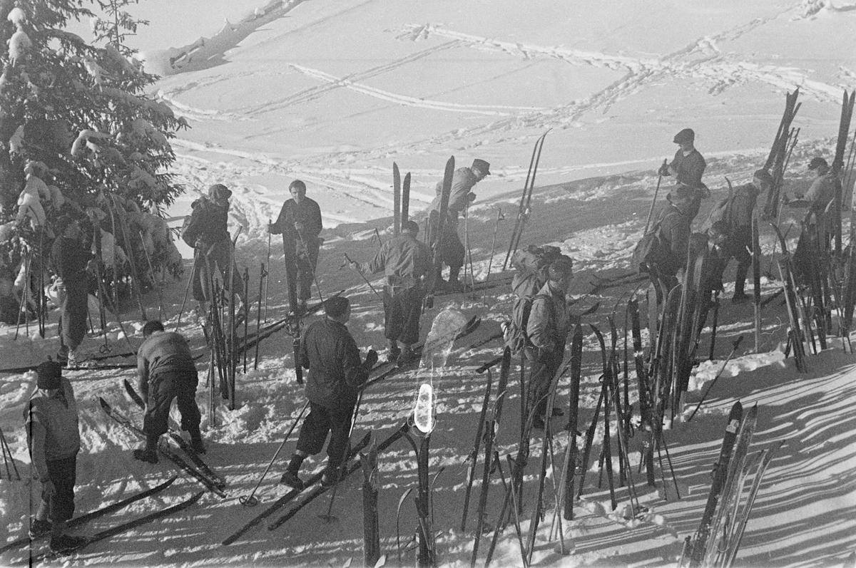Anders Beer Wilse, Prot: Lövliseter