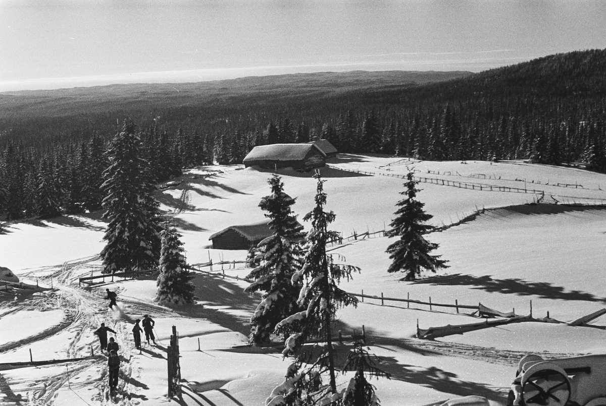 Anders Beer Wilse, Prot: Nordmarka For Skiidr frem.