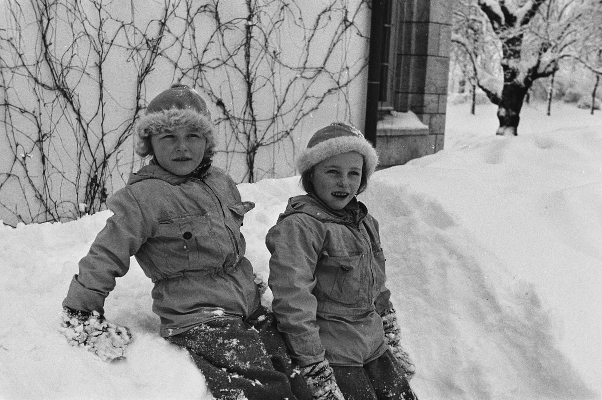 Anders Beer Wilse, Prot: Prinsessene Ja