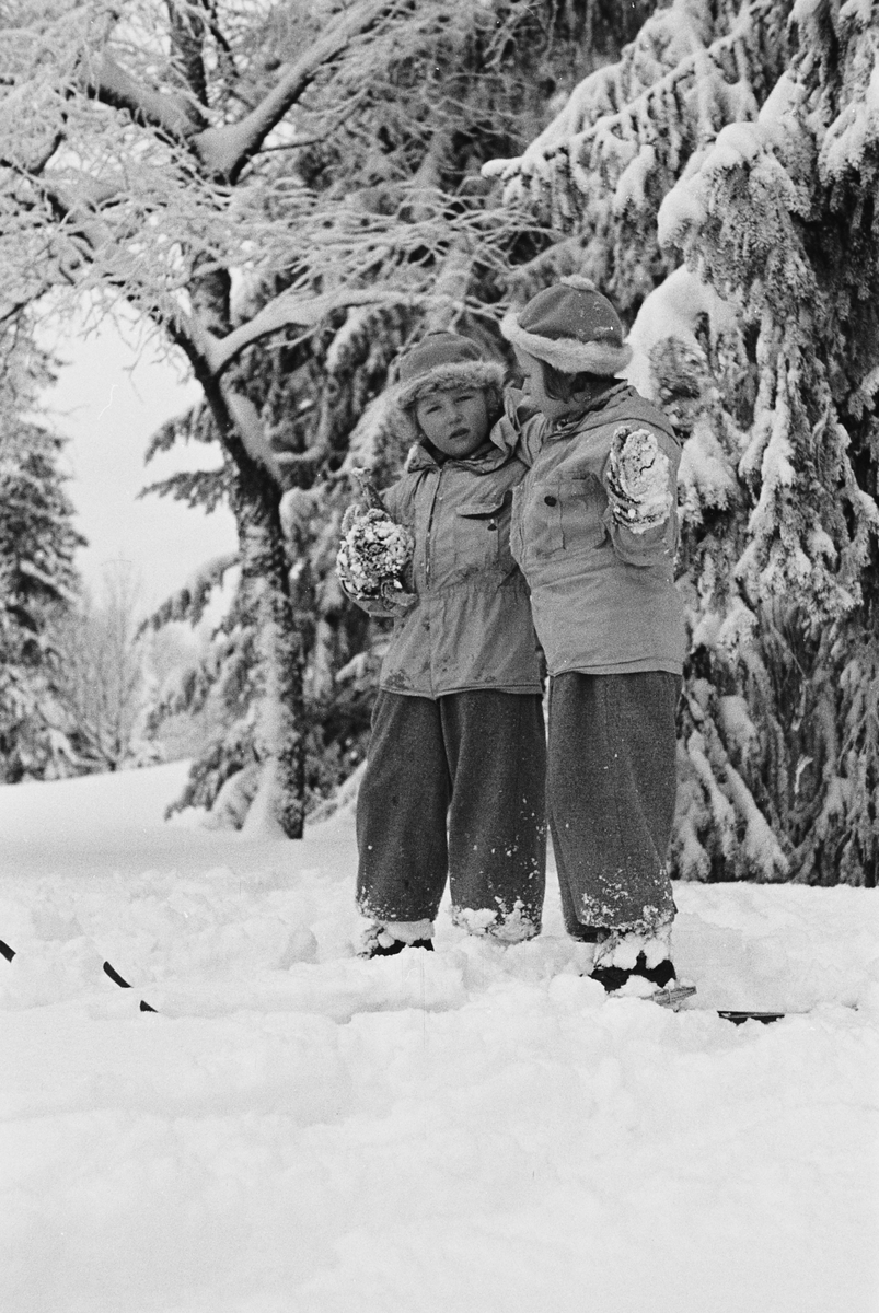 Anders Beer Wilse, Prot: Prinsessene