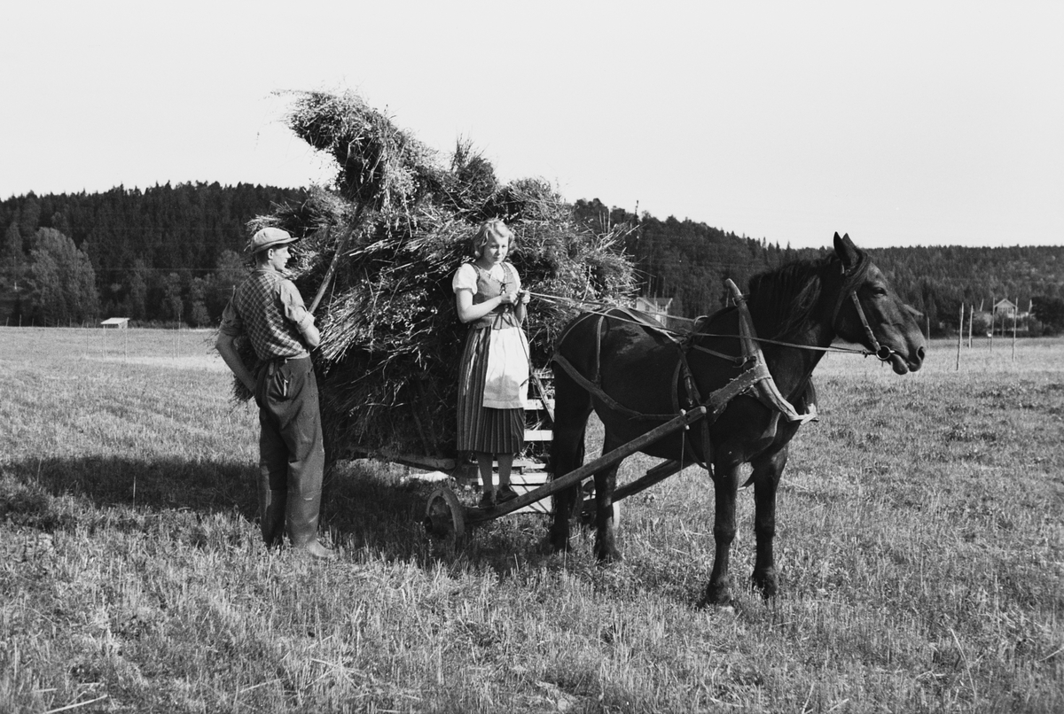 Anders Beer Wilse, Prot: Kornet Kjöres inn